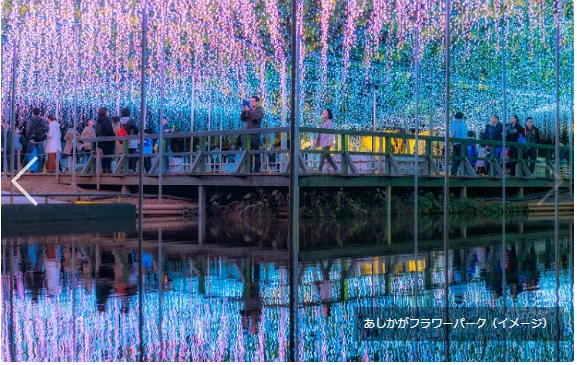 バス　鉄道ジオラマ（秋の紅葉ローカルツアー） バス 鉄道ジオラマ（秋の紅葉ローカルツアー） バス 鉄道